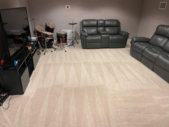 Freshly vacuumed carpet with visible cleaning lines in a living room